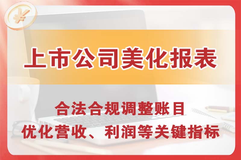 龙泉上市公司美化报表